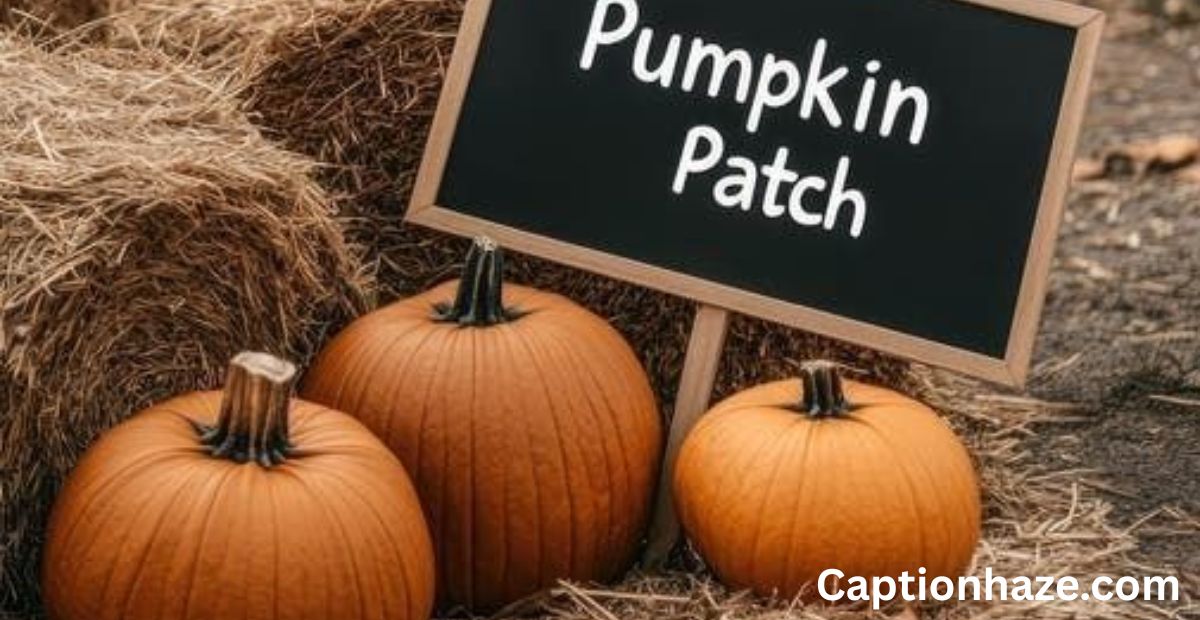 pumpkin-patch-captions