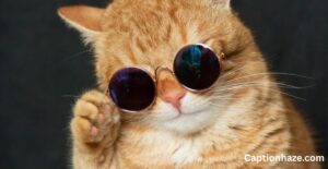 funny-captions-for-instagram