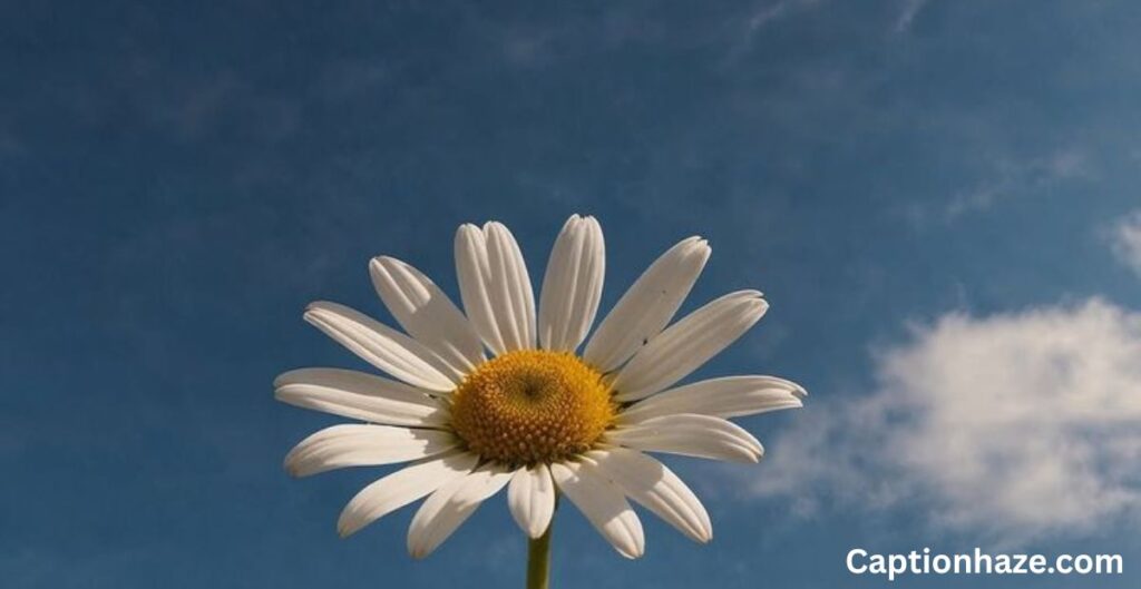 kata-kata-aesthetic-caption-IG