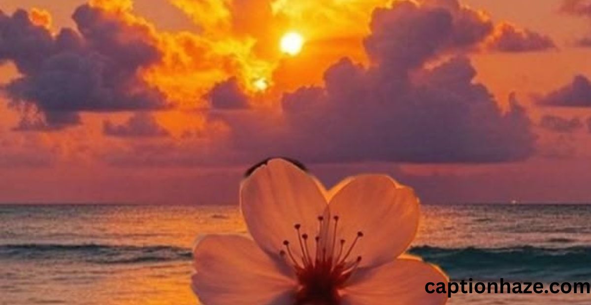 caption-about-flowers