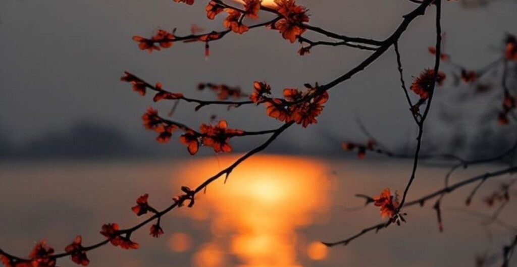 nature-captions
