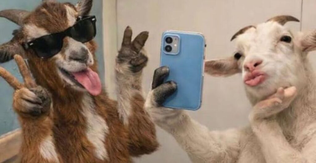 funny-captions